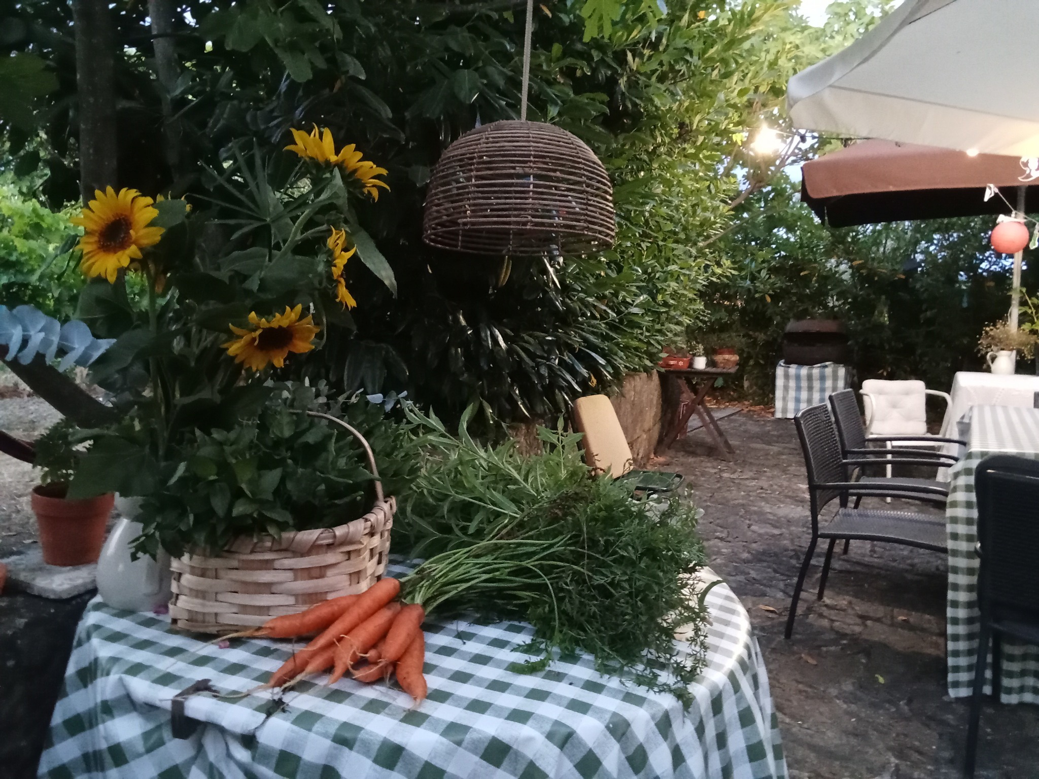 Sustentabilidade